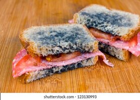 Moldy sandwich salami tomatoes on 260nw 123130993