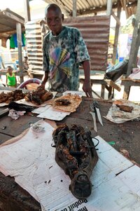 Monkey meat local market brazzaville republic congo africa september man sells smoked septembe