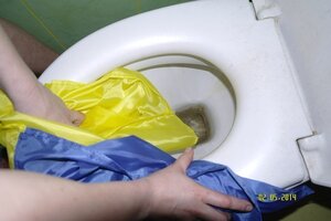 Ukrainian_flag_use.jpg