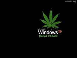 803088-free-marijuana-wallpaper-for-desktop-2.jpg