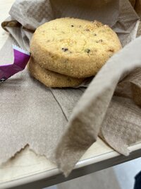 IMG_1753.jpeg