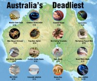 Deadliest Deadliest