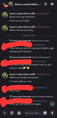 Screenshot_20241025_193717_Discord.jpg