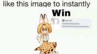 Servalfan Servalfan