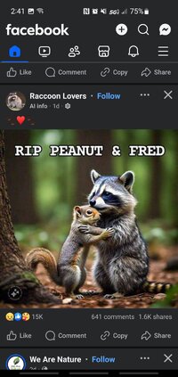 Screenshot_20241111-144150_Facebook.jpg