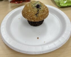 IMG_2076.jpeg
