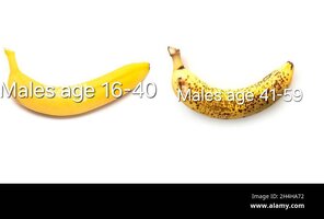 Three kind of banana unripe green normal ripe overripe isolated on white side view 2H4HA72