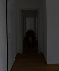 Shadow figure Shadow figure