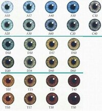 IMG_4506.jpeg