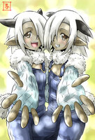 Cotton Cotton