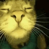 62741-ezgif.com-webp-to-gif-converter.gif