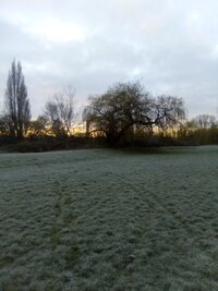 IMG_20250316_063758.jpg