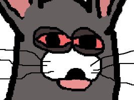 1742178325693.png