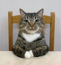 60570