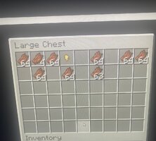 IMG_1104.jpeg