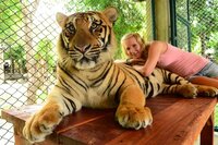 Tiger kingdom Tiger kingdom