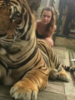 Tiger kingdom 1 Tiger kingdom 1