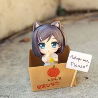 Adoptplease Adoptplease