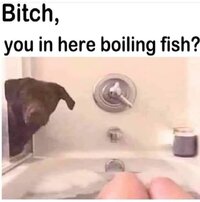 F3c1 F3c1