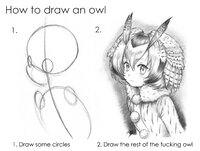 Drawl owl