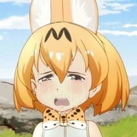 Servaloaaros