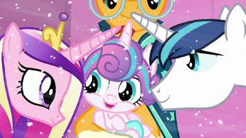 Pony breeding