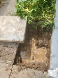20250805_153247.jpg