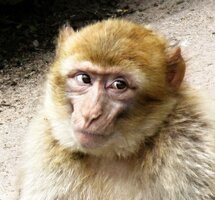 IMG_4632.jpeg