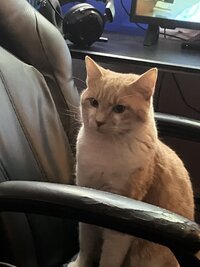 IMG_1678.jpeg