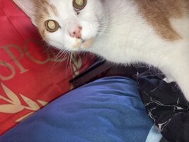 IMG_1682.jpeg