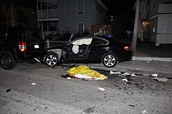 IMG_1950.jpeg