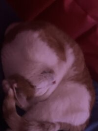 IMG_2600.jpeg