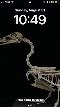 IMG_2428.png