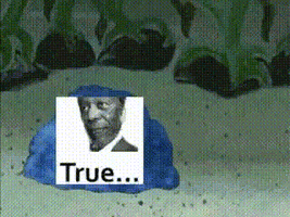 IMG_9013.gif