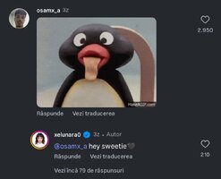 b.jpg