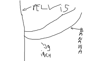 Untitled.png
