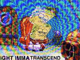 Giphy33