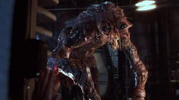 The fly 1986 1747343148 The fly 1986 1747343148