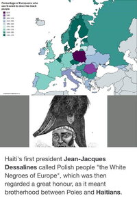 poles negroes of europe.jpg