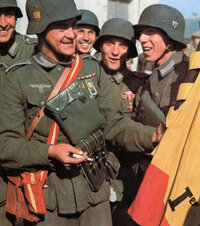 Division Azul spanish spain blue fahnentrager banner color.jpg