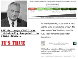 5172C279-20F2-4673-BF2F-8FF9BE99F9A0.jpeg