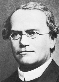 Mendel