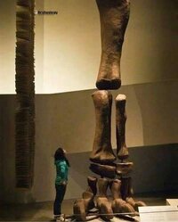 Images 6 1