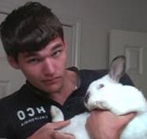 Sesler bunny 6053243 ver10