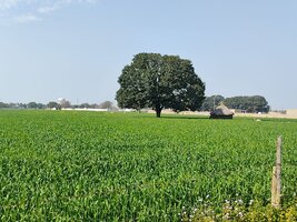 IMG 20260214 133454