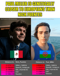 paul-miller-gypsy-crusader-is-genetically-closer-to-v0-zsrvpdgut7og1.png