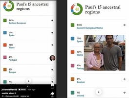 paul-miller-gypsy-crusader-is-genetically-closer-to-v0-iu3i1w93v7og1.jpg