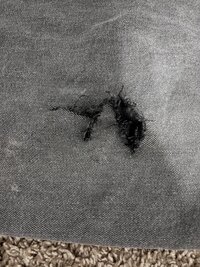 IMG_1870.jpeg