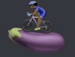 Rider