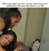 AkmWZq5d 700w 0 AkmWZq5d 700w 0